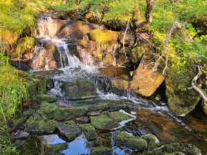 Stream at the start of the route Stream at the start of the route