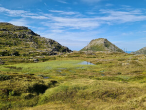 Marshy plateau on the way back Marshy plateau on the way back