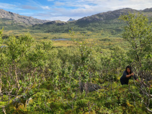Start of the hike in a birch wood Start of the hike in a birch wood