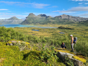 Flaskstadpollen Flaskstadpollen