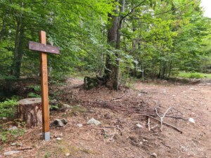 Vizzavona Territorial Forest Vizzavona Territorial Forest