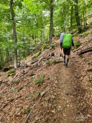 Ascension vers Bocca Palmente