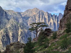 Punta di Spasimata Punta di Spasimata