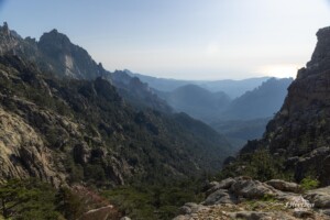 Vue à l'est Vue à l'est