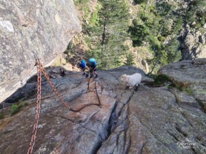 Passage délicat équipé de chaines Passage délicat équipé de chaines