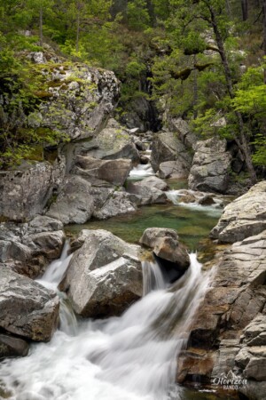 Cascades au niveau de la passerelle de Tolla Cascades au niveau de la passerelle de Tolla