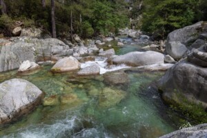 Ruisseau du Manganello Ruisseau du Manganello