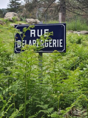 Bergerie de Tolla Bergerie de Tolla