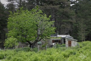 Bergerie de Tolla Bergerie de Tolla