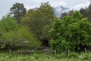 Bergerie de Tolla Bergerie de Tolla