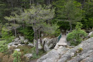 Passerelle de Tolla Passerelle de Tolla
