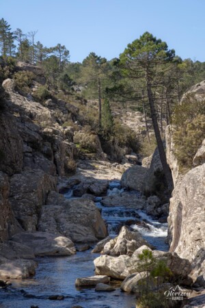 Le long du sentier Le long du sentier