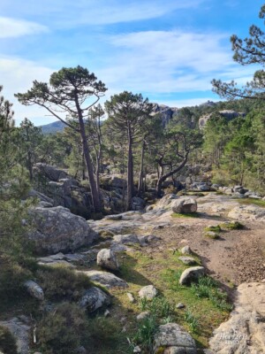 Le long du sentier Le long du sentier