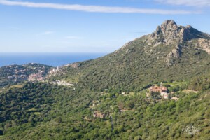 Corbara village and Saint Dominique convent Corbara village and Saint Dominique convent