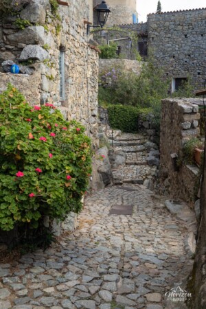 Sant'Antonino alleys Sant'Antonino alleys