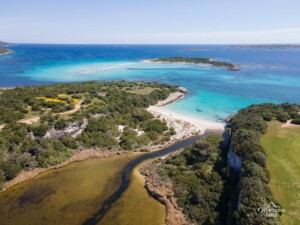 Petit Sperone beach (drone shot) Petit Sperone beach (drone shot)
