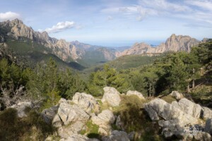 Forêt de Bavella Forêt de Bavella