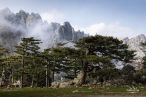 Aiguilles de Bavella depuis le col de Bavella Aiguilles de Bavella depuis le col de Bavella
