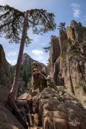 Falaises typiques de la région de Bavella Falaises typiques de la région de Bavella