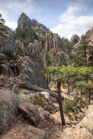 À proximité du trou de la bombe À proximité du trou de la bombe