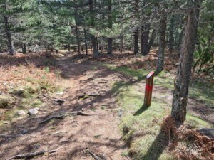Sentier pour le trou de la bombe Sentier pour le trou de la bombe