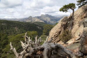 Aiguilles de Bavella Aiguilles de Bavella