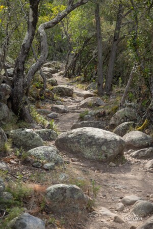 Mare e Monti path Path Mare e Monti