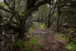 Heritage trail Heritage trail