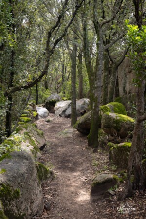 Heritage trail Heritage trail