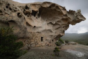 Oriu Grussetu Oriu Grussetu