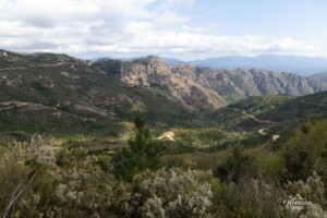 Sentier à la montée Sentier à la montée
