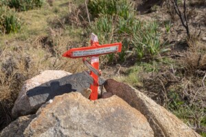 Indications en hommage aux victimes du crash d'avion Indications en hommage aux victimes du crash d'avion