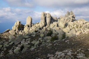 Sculptures Sculptures