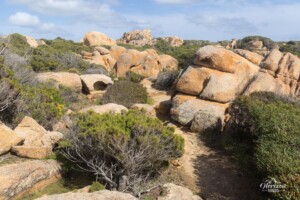 Sentier des Bruzzi Sentier des Bruzzi
