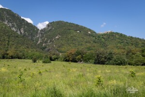 Village of Mucchio Village of Mucchio