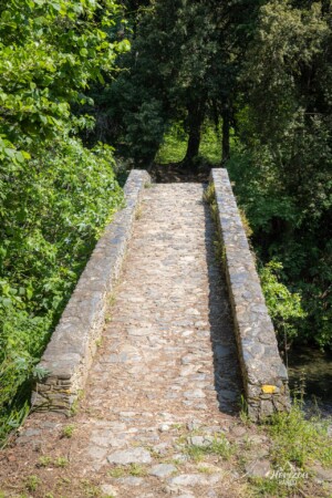 Genoese bridge at Bucatoggio Genoese bridge at Bucatoggio