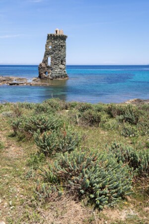 Santa Maria Tower Santa Maria Tower