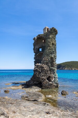 Santa Maria Tower Santa Maria Tower