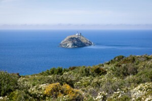 Giraglia Island Giraglia Island