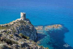 Agnello Tower Agnello Tower