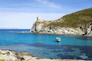 Agnello Tower Agnello Tower