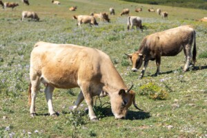 Wilderness trail Wilderness trail