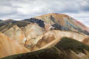 Brennisteinsalda Brennisteinsalda