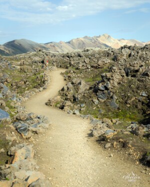 Champ de lave de Laugahraun Champ de lave de Laugahraun