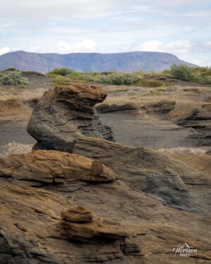 Sand sculptures Sand sculptures