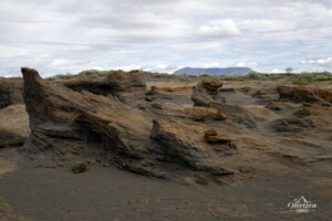 Sand sculptures Sand sculptures