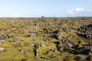 Champ de lave Champ de lave