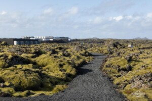 Blue Lagoon Blue Lagoon