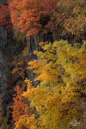 Couleurs d'automne (mi-septembre) Couleurs d'automne (mi-septembre)