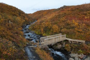 Sentier au retour Sentier au retour
